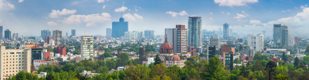 MEXICO CHAPTER