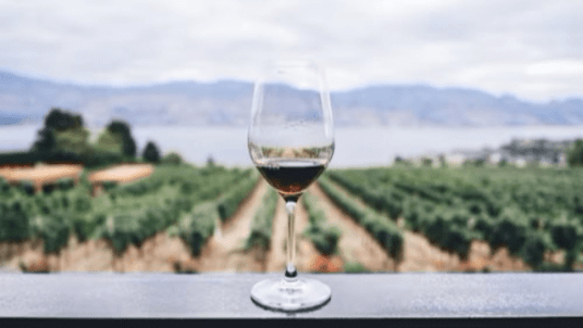 Wine Tasting & Dinner at Domaine Krier-Welbes