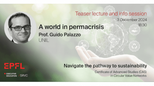 Teaser lecture "A world in permacrisis"