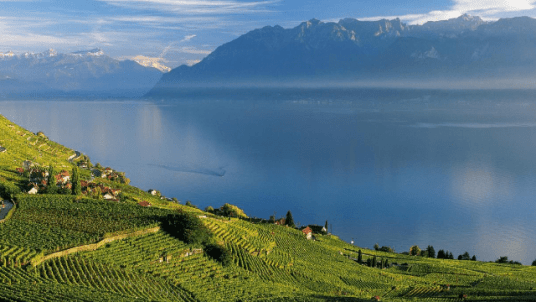 Dégustation de vins estivale