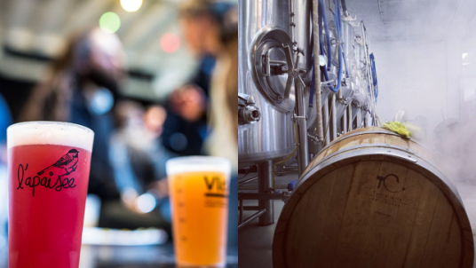 Dégustation de Bières et Visite à la Brasserie l’Apaisée