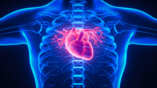 Visit to the CHUV cardiology center in Lausanne